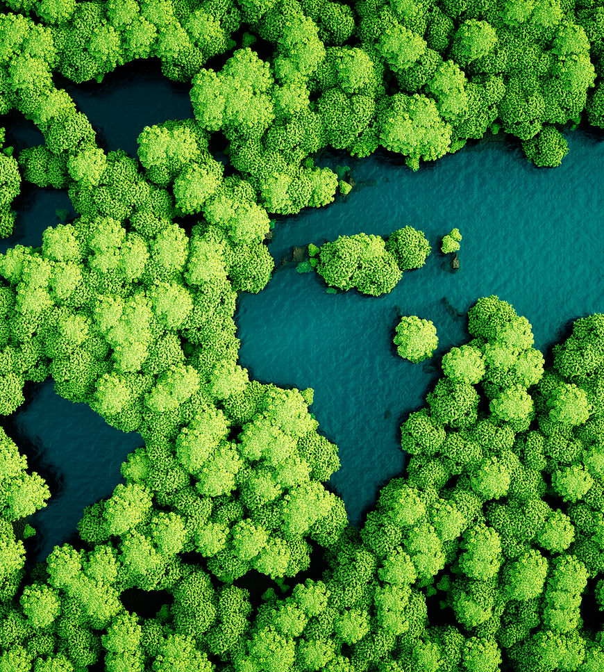 Fotografia aérea de copas de árvores e um rio, representando a complexidade e beleza dos sistemas naturais